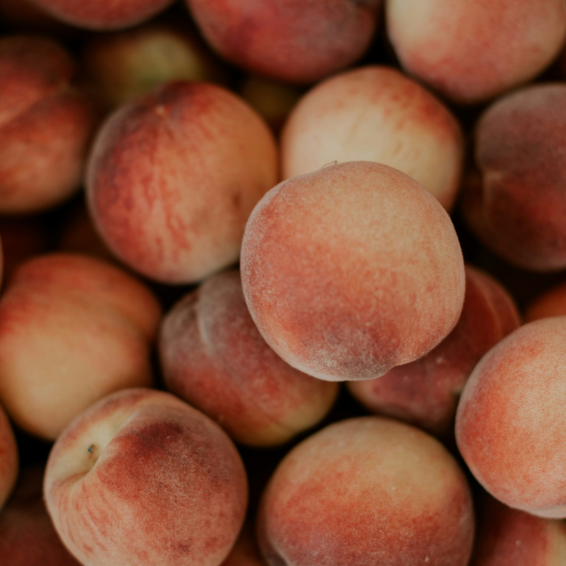 Prunus Persica