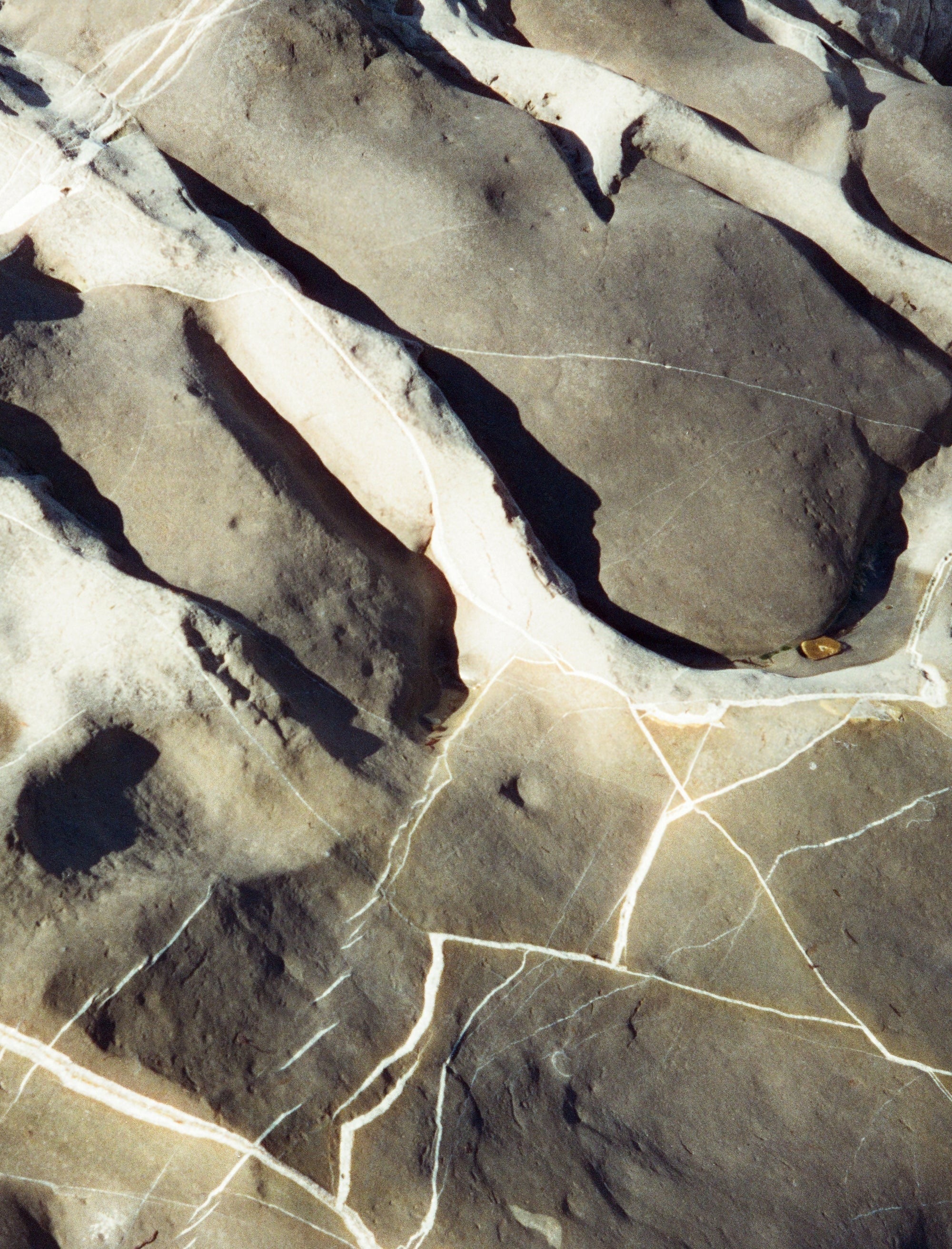 The Power of Nature: Why Organic Skincare Matters Image