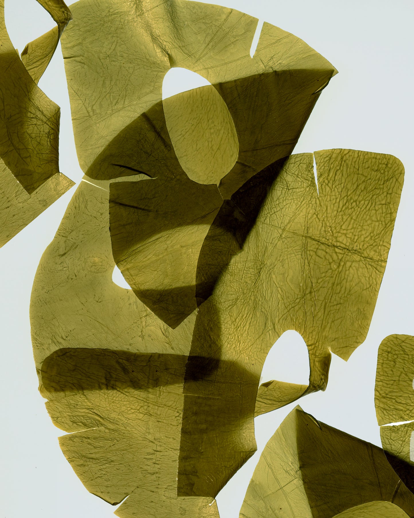 Kelp! Seaweed Serum Sheet Mask (Pack of 4)